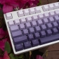 Faint Aroma Full PBT Gradient Purple Dip-dye Keycaps Set Doubleshot Backlit OEM Profile for Cherry MX Mechanical Keyboard